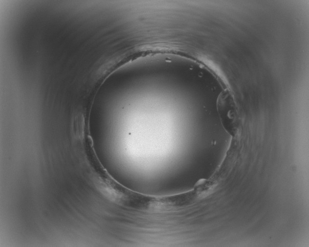 X0000069810109200605221214