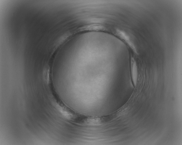 X0000069810110200605221214