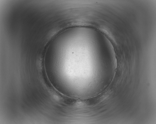 X0000069810111200605221214