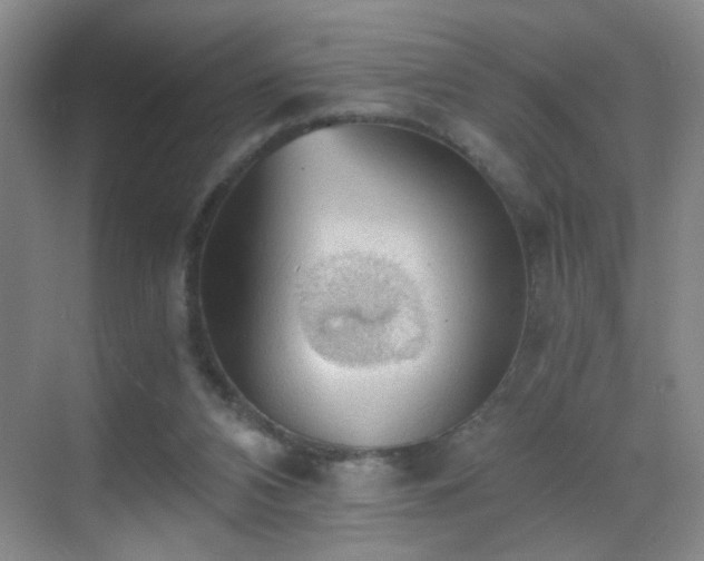 X0000069810112200605221214