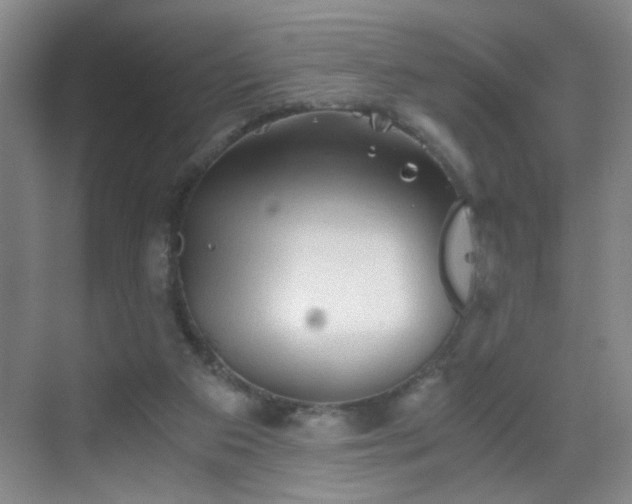 X0000069810113200605221214