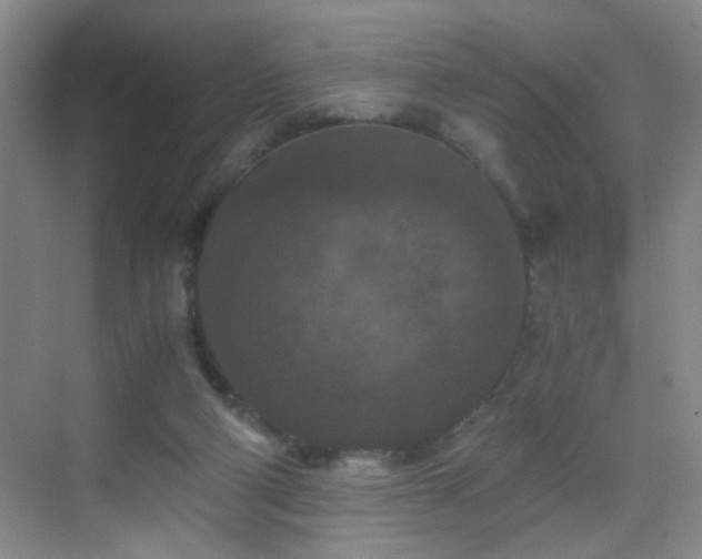 X0000069810114200605221214