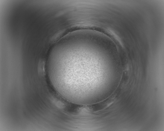 X0000069810115200605221214