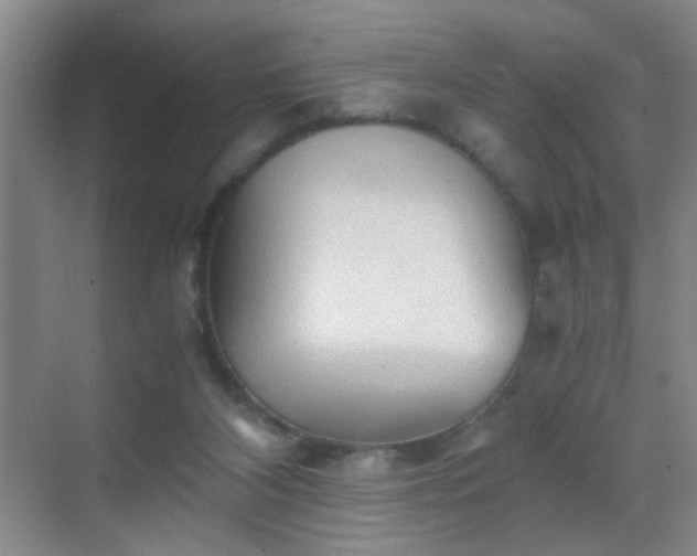 X0000069810116200605221214