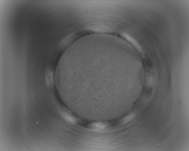 X0000069810117200605221214