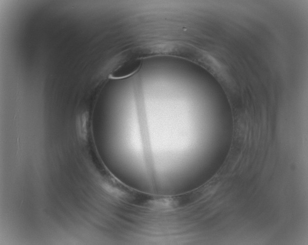 X0000069810118200605221214