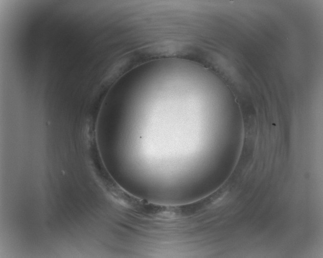 X0000069810119200605221214