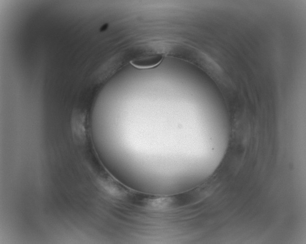 X0000069810122200605221214