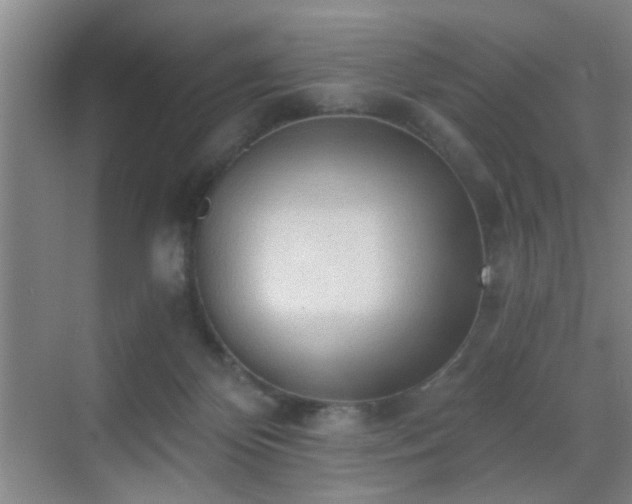 X0000069810124200605221214