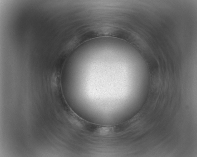 X0000069810126200605221214