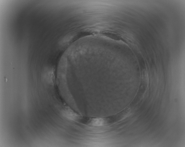 X0000069810127200605221214