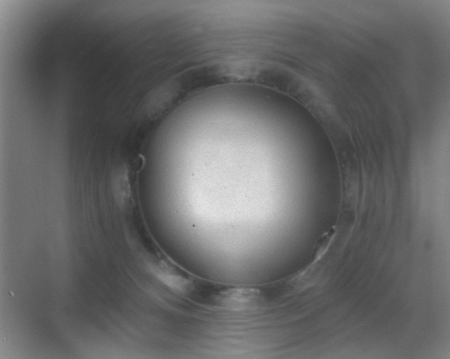 X0000069810128200605221214