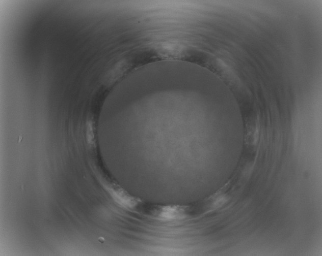 X0000069810130200605221214