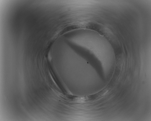 X0000069810131200605221214