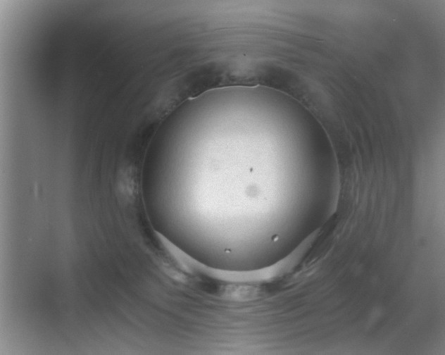 X0000069810135200605221214