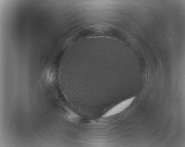 X0000069810137200605221214