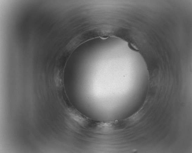 X0000069810140200605221214