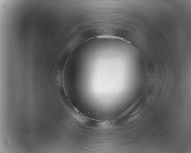 X0000069810141200605221214