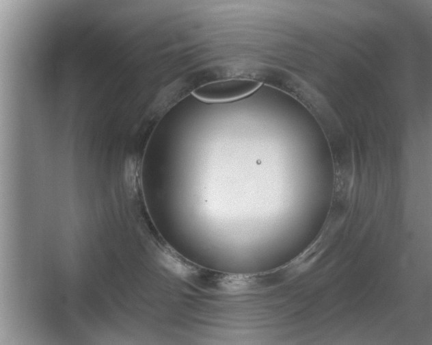 X0000069810142200605221214