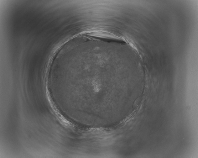 X0000069810145200605221213