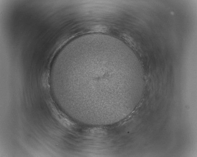 X0000069810146200605221213