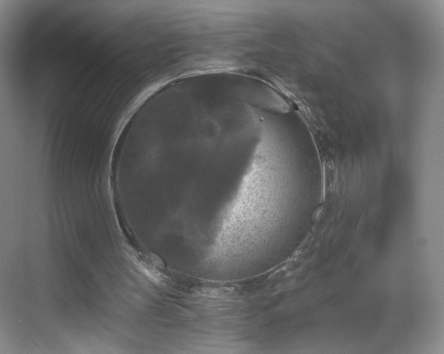 X0000069810147200605221213