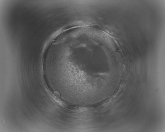 X0000069810149200605221213