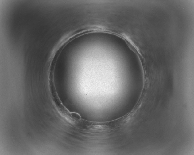 X0000069810151200605221213