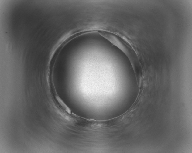 X0000069810152200605221213