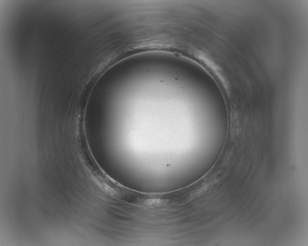 X0000069810153200605221213