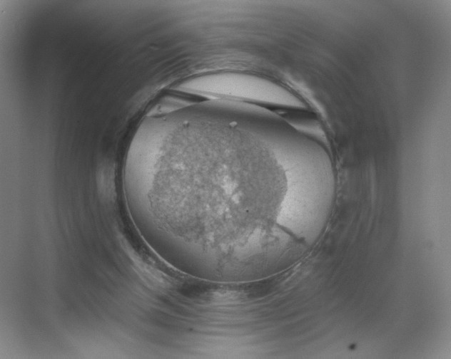 X0000069810154200605221213