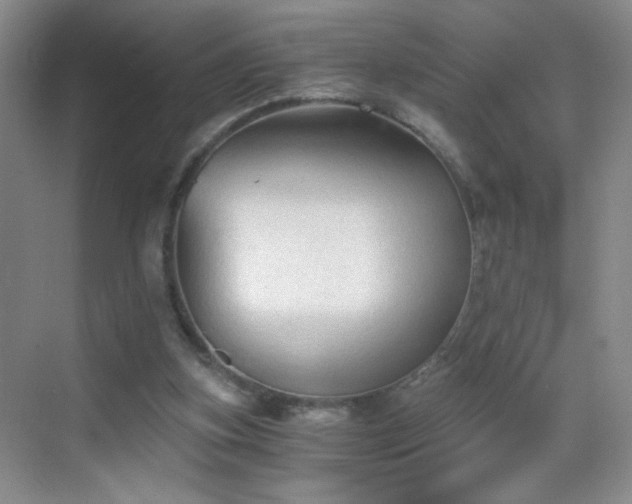 X0000069810155200605221213