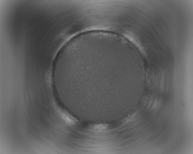 X0000069810156200605221213