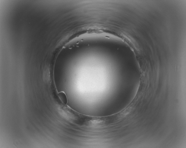 X0000069810158200605221213