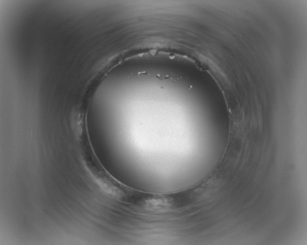 X0000069810160200605221213