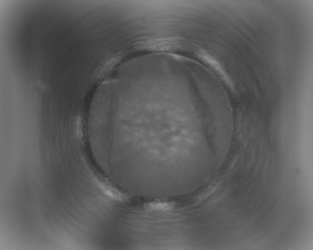 X0000069810161200605221213