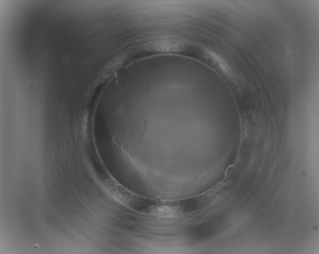 X0000069810163200605221213