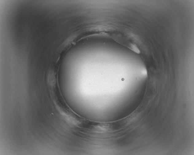 X0000069810164200605221213