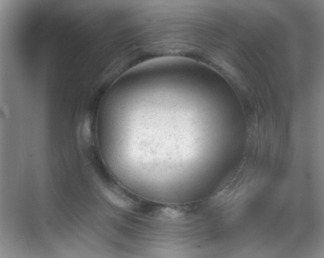 X0000069810166200605221213