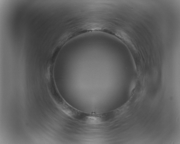 X0000069810167200605221213