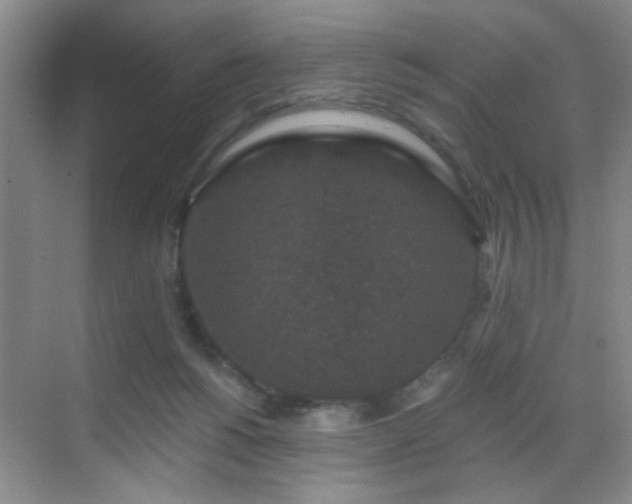 X0000069810168200605221213