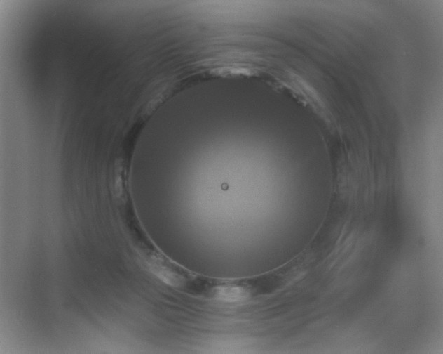 X0000069810169200605221213