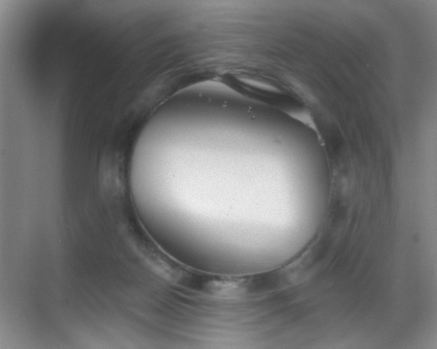 X0000069810170200605221213