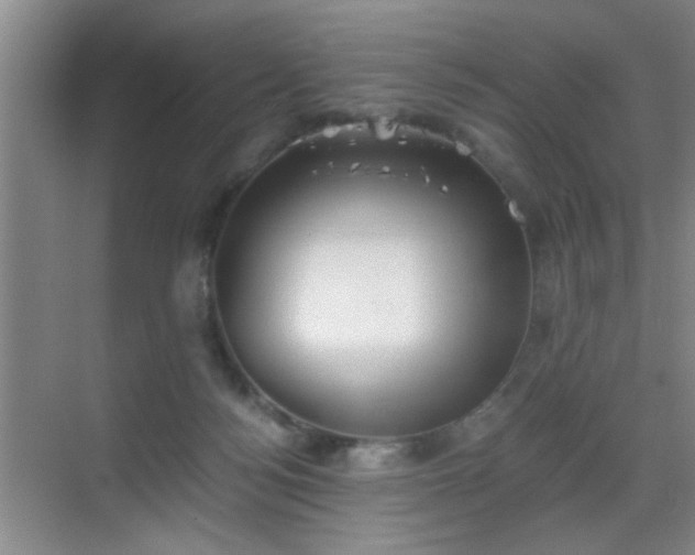 X0000069810172200605221213