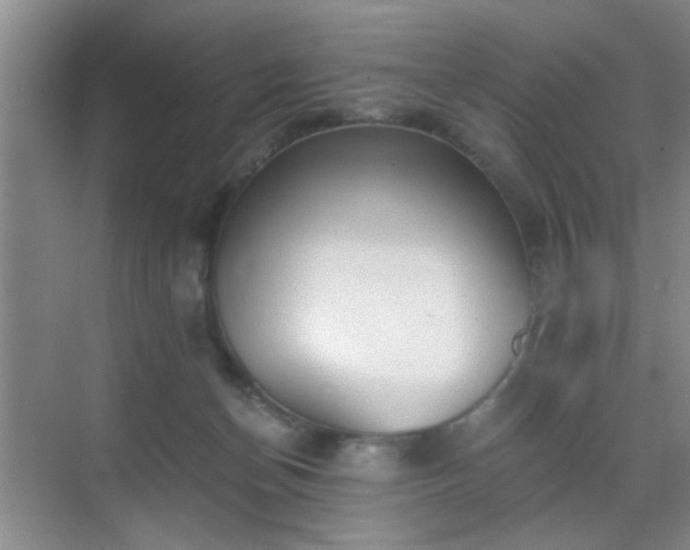 X0000069810174200605221213