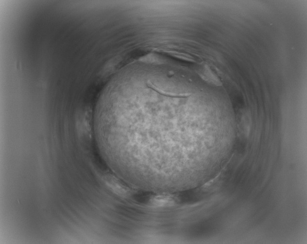 X0000069810175200605221213