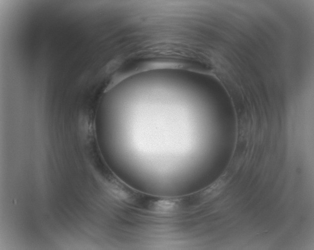 X0000069810176200605221213