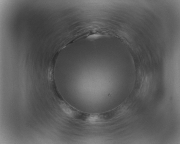 X0000069810177200605221213