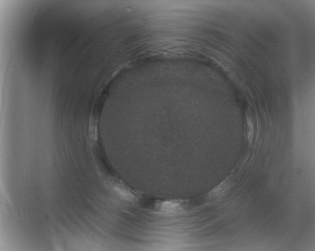 X0000069810180200605221214