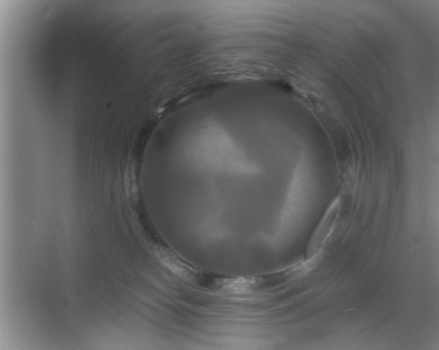 X0000069810182200605221214